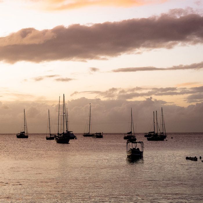#SportsIsle: Sailors Flock to Barbados for Top Sailing Week